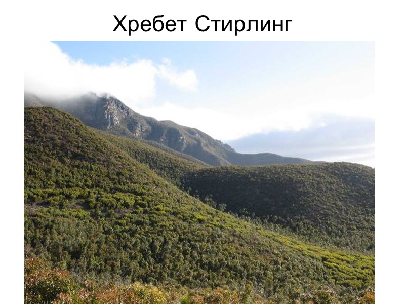 Хребет Стирлинг